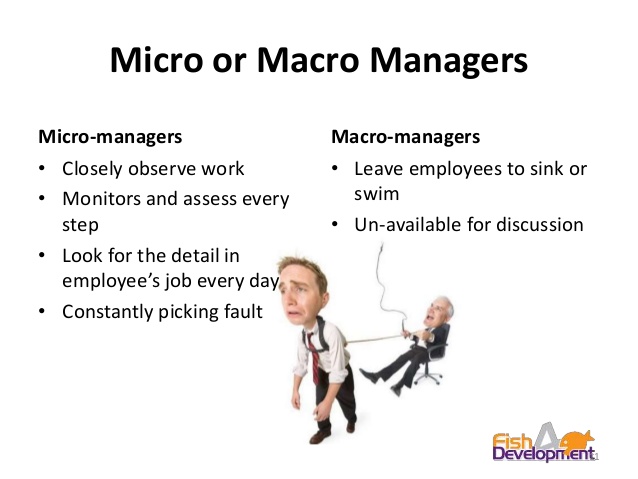 Macro Vs Micro-management
